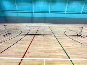 diadem-pickleball-net-full-EDIT.jpg